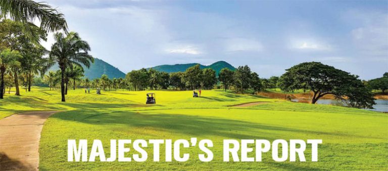 Majestic’s report