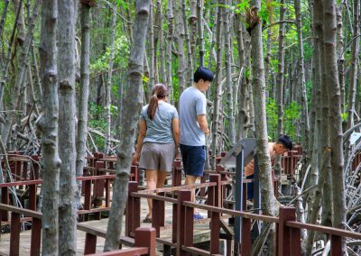 Explore Sirinart Rajini Mangrove Forest and try traditional Thai desserts in Pak Nam Pran