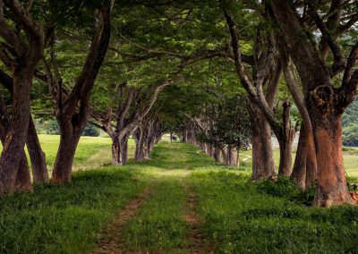 Exploring Kui Buri: A one-day trip from Hua Hin