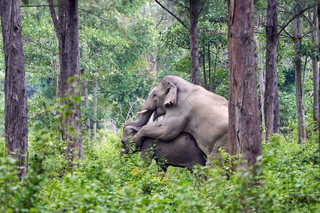 470990454 1031934718977856 4109305872588705740 N