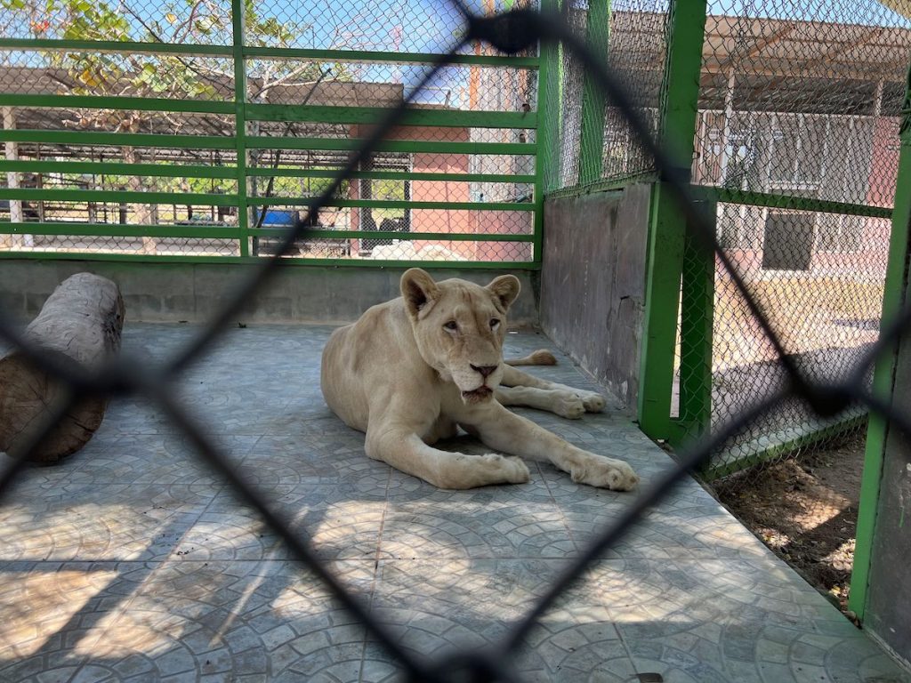 Mountain cafe at zoo