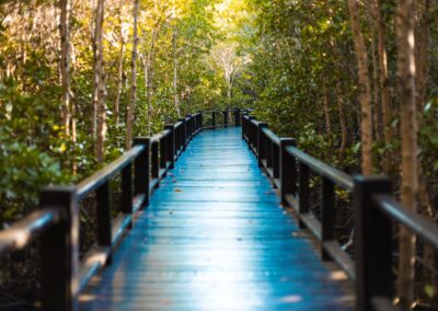 Pranburi Forest Park offers a mangrove boardwalk near Hua Hin