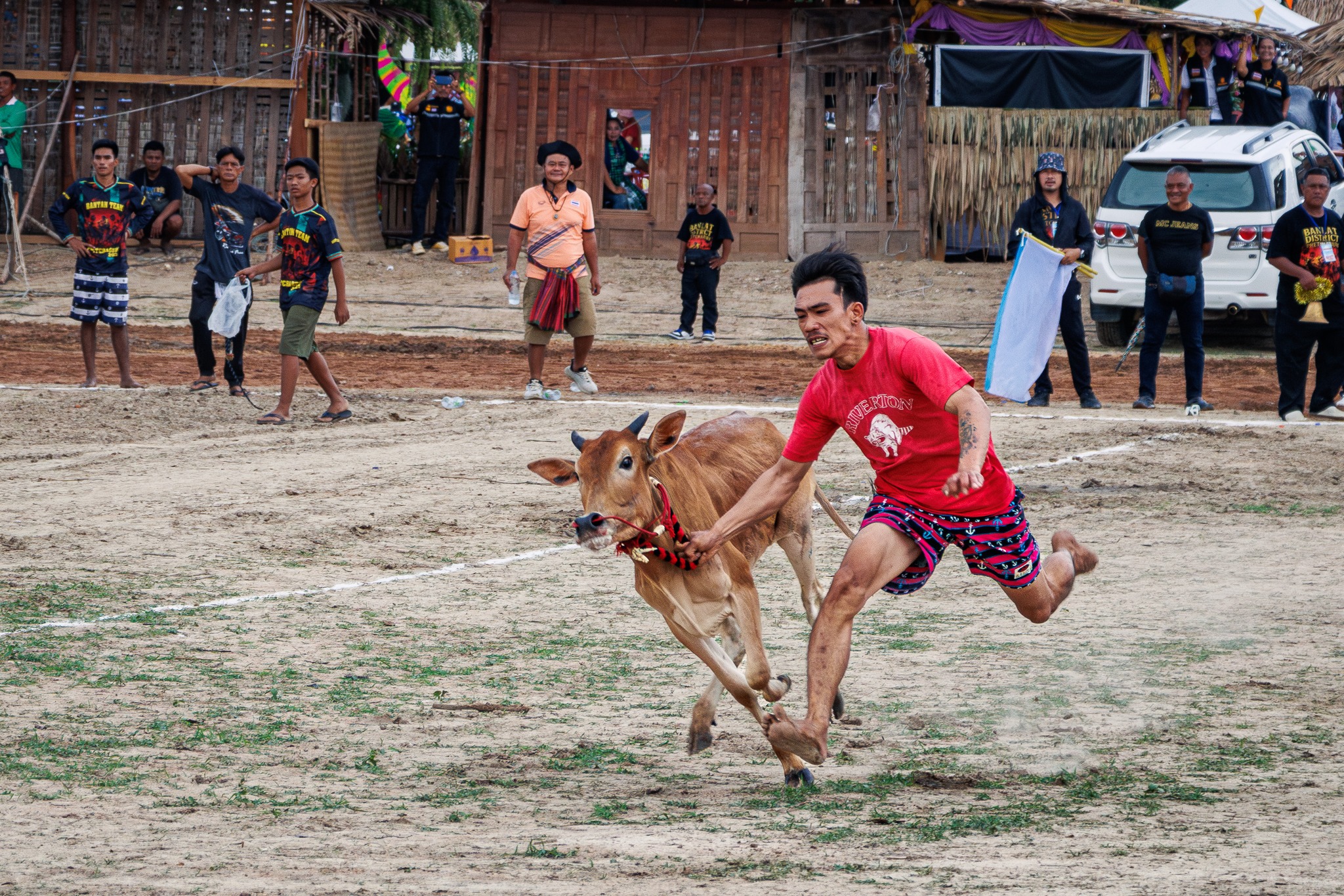 Phetchaburi to hold ox cart racing from 27–31 March - Hua Hin Today